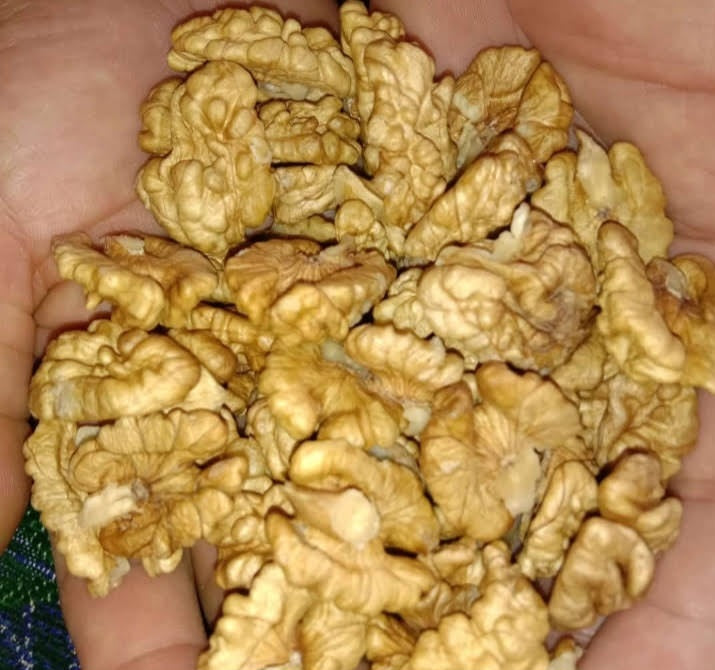 Kashmiri  Walnut kernels